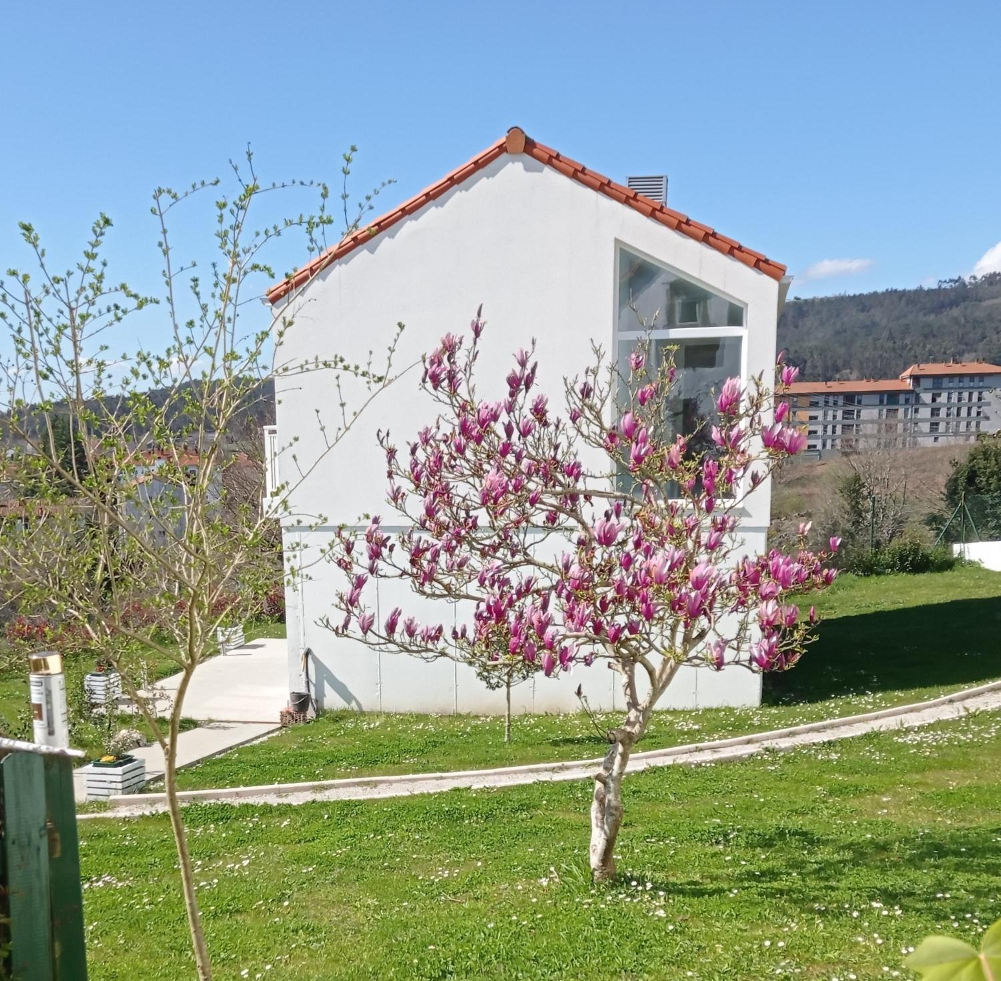 Casas Turisticas Lar Jardin - Parking Privado Santiago de Compostella Buitenkant foto