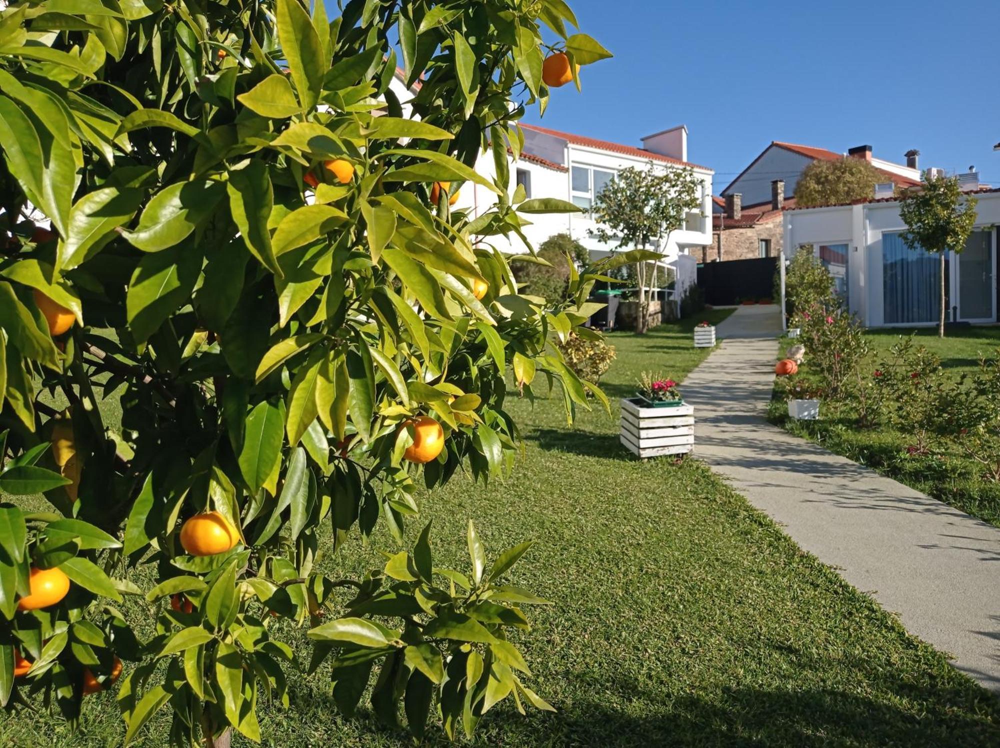 Casas Turisticas Lar Jardin - Parking Privado Santiago de Compostella Buitenkant foto
