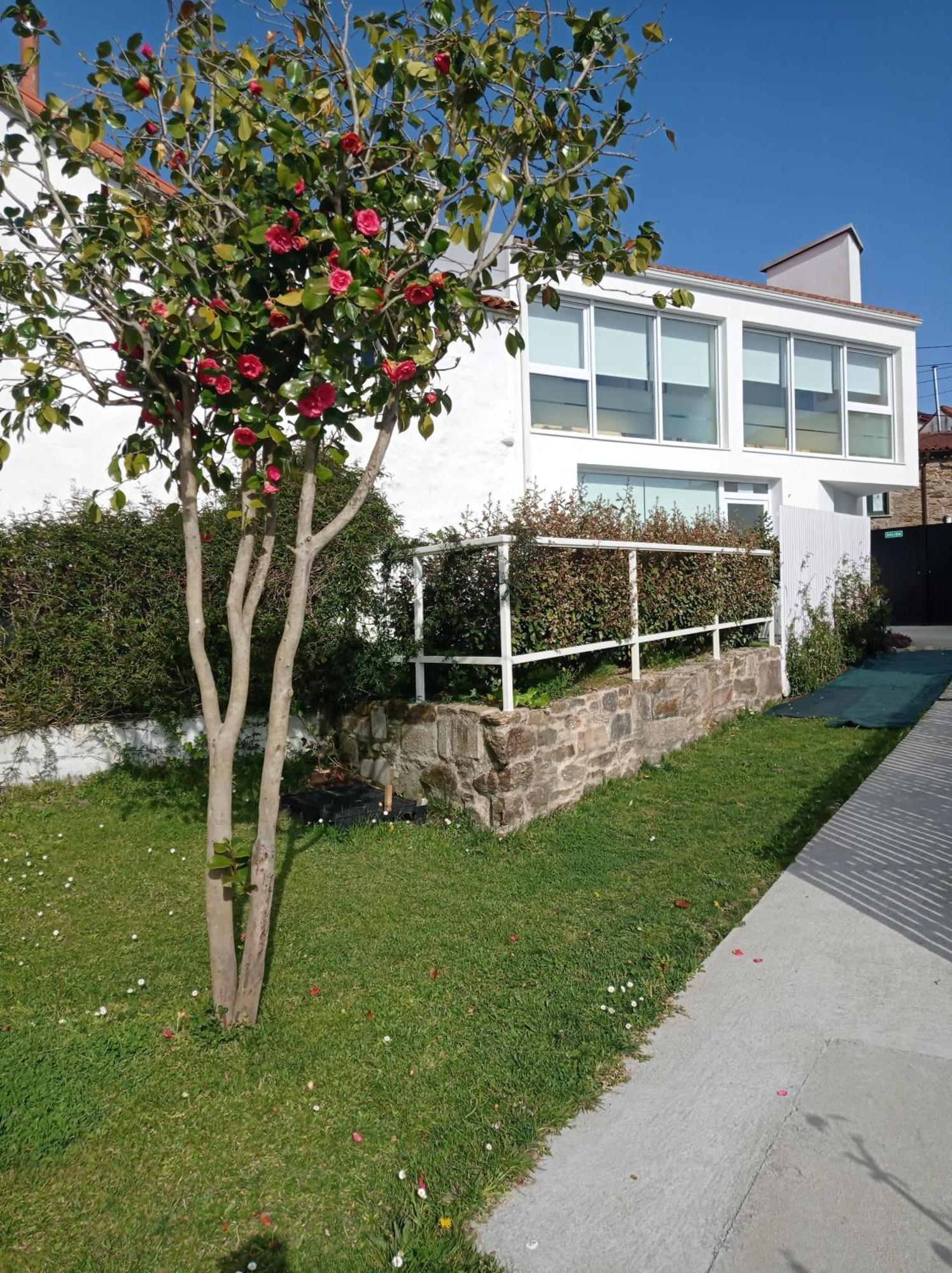 Casas Turisticas Lar Jardin - Parking Privado Santiago de Compostella Buitenkant foto
